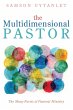 The Multidimensional Pastor - Bild 1