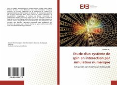 Etude d'un système de spin en interaction par simulation numérique - ATI, Moncef