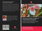 Alpinia zerumbet: secagem e propriedades biológicas