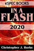 In a Flash 2020 (eBook, ePUB)