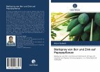 Blattspray von Bor und Zink auf Papayapflanze
