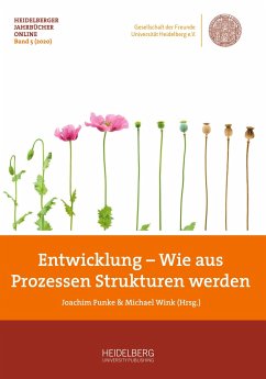 Entwicklung ¿ Wie aus Prozessen Strukturen werden