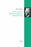 Ernst Cassirers Phänomenologie der Wahrnehmung (eBook, PDF)