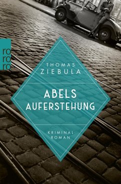 Abels Auferstehung / Paul Stainer Bd.2 (eBook, ePUB) - Ziebula, Thomas