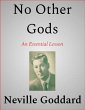 No Other Gods (eBook, ePUB) - Bild 1