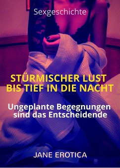 Sexgeschichte: Stürmischer Lust bis tief in die Nacht (eBook, ePUB) - Erotica, Jane