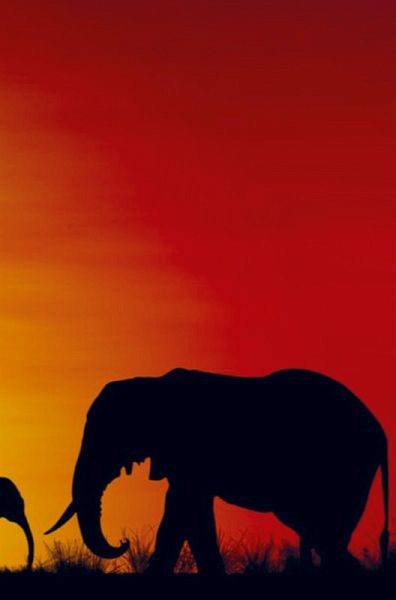 Abenteuer Kenia Abenteuer Kenia