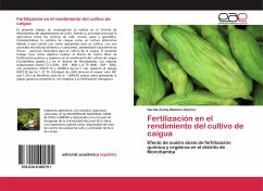 Fertilización en el rendimiento del cultivo de caigua - Mamani Atencio, Nerida Zulma