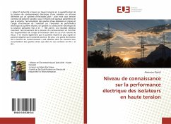 Niveau de connaissance sur la performance électrique des isolateurs en haute tension - Djalali, Abdenour