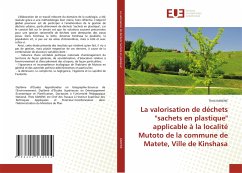 La valorisation de déchets ''sachets en plastique'' applicable à la localité Mutoto de la commune de Matete, Ville de Kinshasa - KANENE, Théo