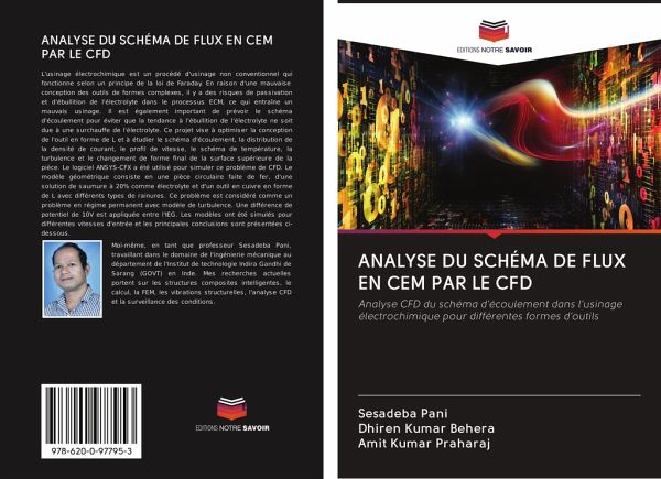 ANALYSE DU SCHÉMA DE FLUX EN CEM PAR LE CFD ANALYSE DU SCHÉMA DE FLUX EN CEM PAR LE CFD