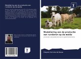 Modellering van de productie van runderen op de weide