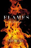 Flames (eBook, ePUB)