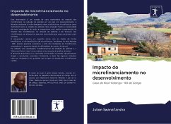 Impacto do microfinanciamento no desenvolvimento - SwanaTansha, Julien