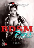 BDSM Pur 4 (eBook, ePUB)