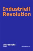 Industriell Revolution (eBook, ePUB)