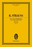 Till Eulenspiegels lustige Streiche (eBook, PDF)