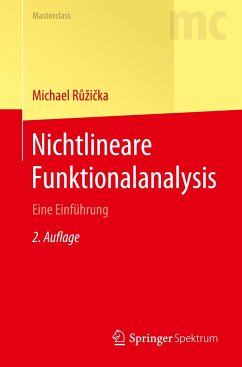 Nichtlineare Funktionalanalysis - Ruzicka, Michael