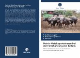 Matrix-Metalloproteinasen bei der Fortpflanzung von Büffeln