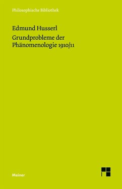Grundprobleme der Phänomenologie 1910/11 - Husserl, Edmund