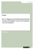 ILeA 2. Diagnose und Förderung im Bereich Lesegeschwindigkeit und Leseverständnis von zwei Kindern