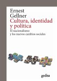 Cultura, identidad y política (eBook, PDF)