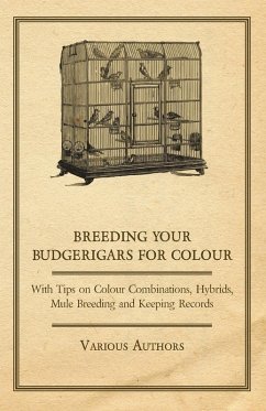 Breeding your Budgerigars for Colour - With Tips on Colour Combinations, Hybrids, Mule Breeding and Keeping Records (eBook, ePUB) - Various