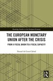 The European Monetary Union After the Crisis