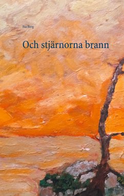 Och stjärnorna brann (eBook, ePUB)