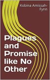 Plagues and Promise like No Other (eBook, ePUB)