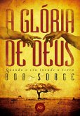 A glória de Deus (eBook, ePUB)