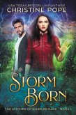 Storm Born (The Witches of Wheeler Park, #1) (eBook, ePUB)