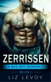 Zerrissen 1 (eBook, ePUB)