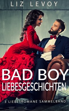 Bad Boy Liebesgeschichten (eBook, ePUB) - Levoy, Liz