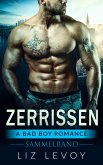 Zerrissen (eBook, ePUB)