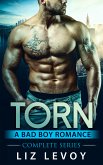 Torn (eBook, ePUB)