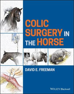 Colic Surgery in the Horse - Freeman, David E.
