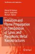 Initiation and Flame Propagation in... - Bild 1