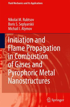 Initiation and Flame Propagation in Combustion of Gases and Pyrophoric Metal Nanostructures - Rubtsov, Nikolai M.;Seplyarskii, Boris S.;Alymov, Michail I.