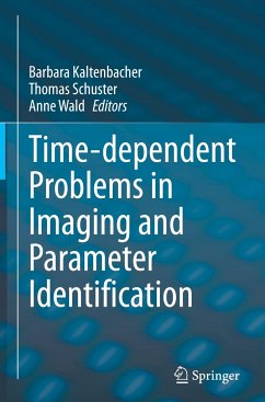 Time-dependent Problems in Imaging and Parameter Identification