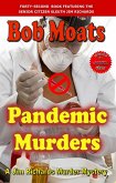 Pandemic Murders (Jim Richards Murder Mysteries, #42) (eBook, ePUB)