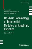 De Rham Cohomology of Differential Modules on Algebraic Varieties (eBook, PDF)