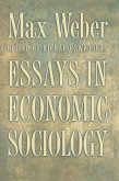 Essays in Economic Sociology (eBook, ePUB)