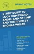 Study Guide to Look Homeward, Angel,... - Bild 1