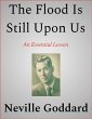 The Flood Is Still Upon Us (eBook, ePUB) - Bild 1