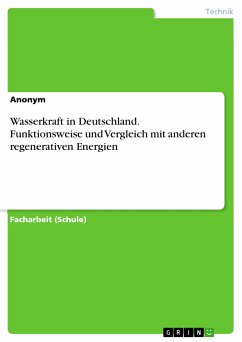 Wasserkraft in Deutschland. Funktionsweise und Vergleich mit anderen regenerativen Energien (eBook, PDF)
