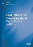 Child Labor in the Developing World (eBook, PDF)