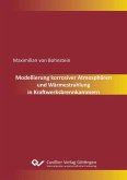 Modellierung korrosiver Atmosphären und Wärmestrahlung in Kraftwerksbrennkammern (eBook, PDF)