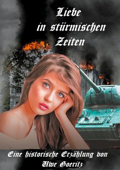Liebe in stürmischen Zeiten (eBook, ePUB) - Goeritz, Uwe