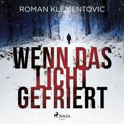 Wenn das Licht gefriert (MP3-Download) - Klementovic, Roman